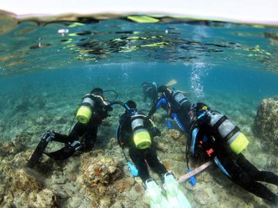 屋久島ダイビングセンターの最新写真