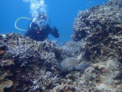 グローバルダイブ石垣島の最新写真