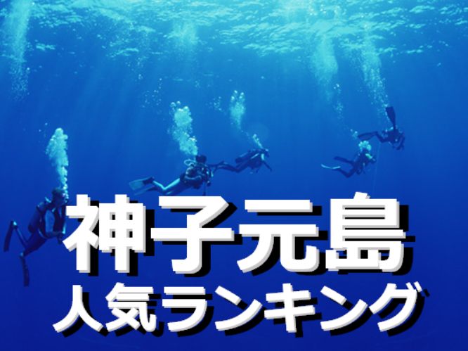 神子元の人気ランキング