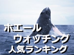 ホエールウォッチング