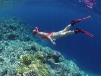 ハワイのダイビングスタイル