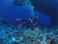 サイパンのダイビングスタイル