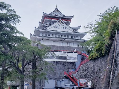 熱海・初島のダイビングスタイル