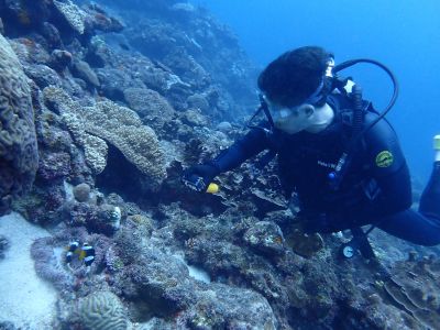 ヌヌ・アドベンチャー・クラブの最新写真