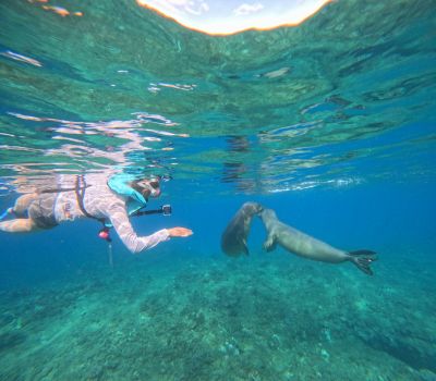 ハウオリ・オーシャン・スタイル Hau'oli Ocean Styleの最新写真