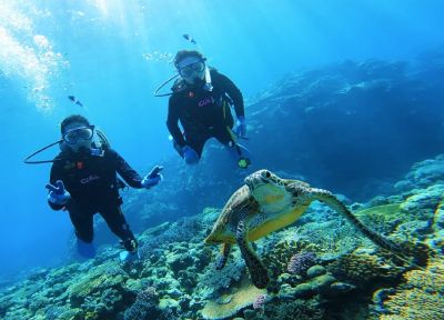 splus エスプラスの最新写真