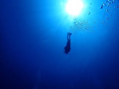 ヌヌ・アドベンチャー・..