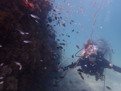 ヌヌ・アドベンチャー・クラブの最新写真