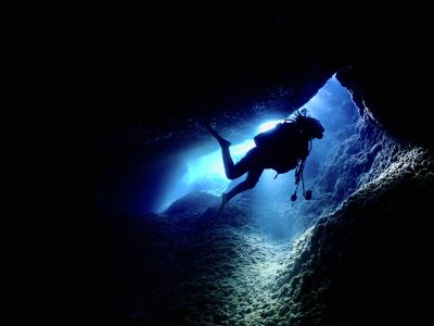 石垣島マーチダイビングサービスの最新写真