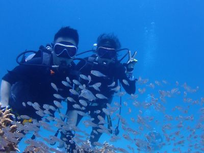 ヌヌ・アドベンチャー・クラブ石垣島の最新写真