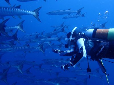 ヌヌ・アドベンチャー・クラブ石垣島の割引プラン