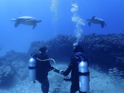 ホロホロオーシャンダイバーズの最新写真