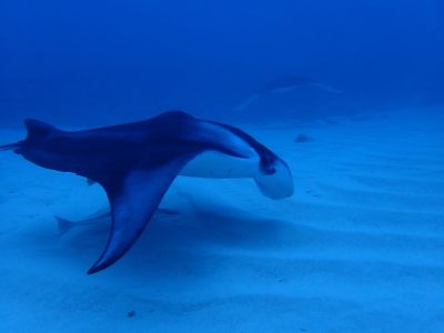 ヌヌ・アドベンチャー・..の最新写真