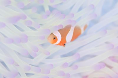 石垣島マーチダイビングサービスの最新写真