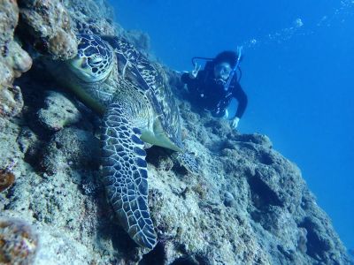 ヒートハートクラブ石垣島