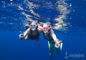 アクアベース AQUABASEの最新写真