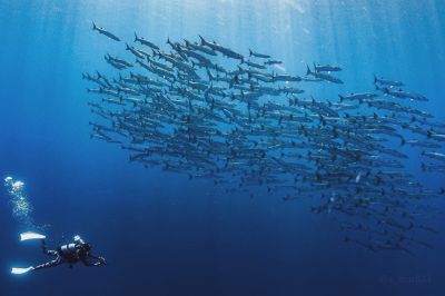 MARUDAI マルダイの最新写真