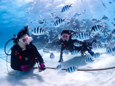 アクアコネクションズの最新写真