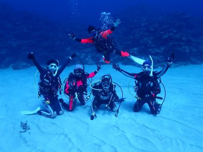 Gダイビング石垣島の最新写真