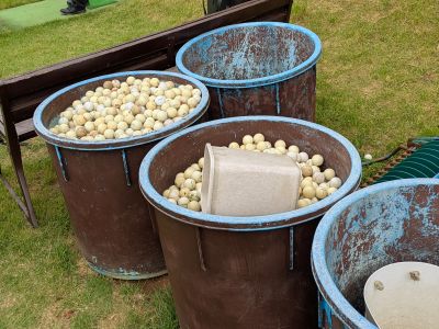 桜の宮ゴルフ倶楽部の最新写真