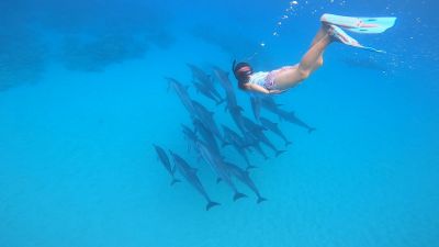 ハウオリ・オーシャン・スタイル Hau'oli Ocean Styleの最新写真