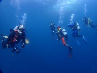 マイダイブ MyDive