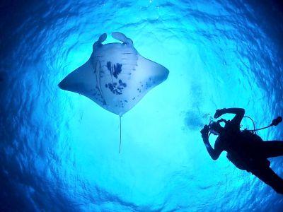 HANON Diving Service