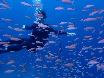 ヌヌ・アドベンチャー・..の最新写真