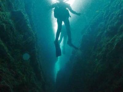マイダイブ MyDive