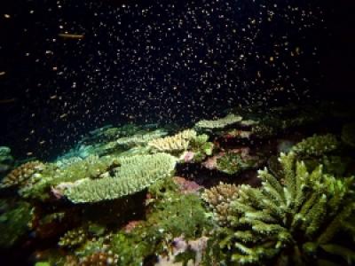 Ｓ２ＣＬＵＢ石垣島