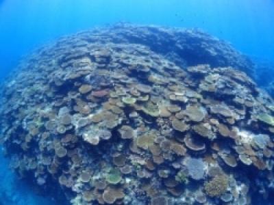 Ｓ２ＣＬＵＢ石垣島