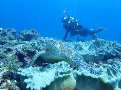 ヒートハートクラブ石垣島