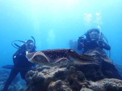 ヒートハートクラブ石垣島