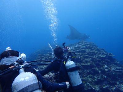 ヒートハートクラブ石垣島