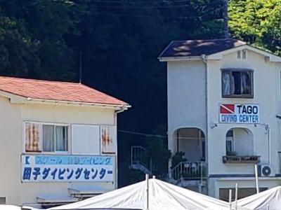 田子ダイビングセンター