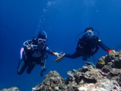 グローバルダイブ石垣島