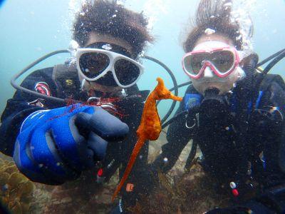 マイダイブ MyDive