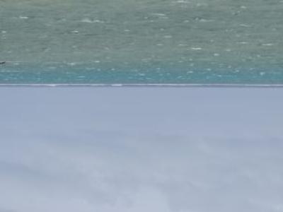 ヌヌ・アドベンチャー・..